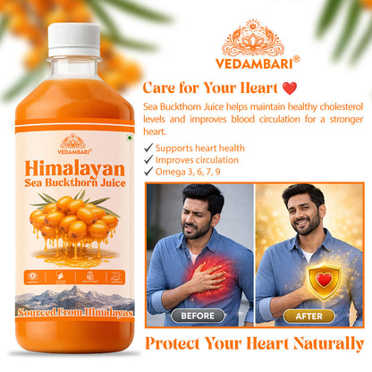 Vedambari® Sea Buckthorn Juice | Pulp Concentrate Made for Your Total Body Care & Wellness | Rich in Vitamin C, Omega 3, 6, 7, 9 & Antioxidants | For Men & Women